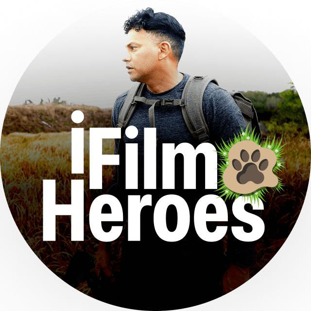 Fur Heaven's Sake & Furbay