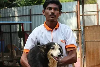 Fur Heaven's Sake & Furbay