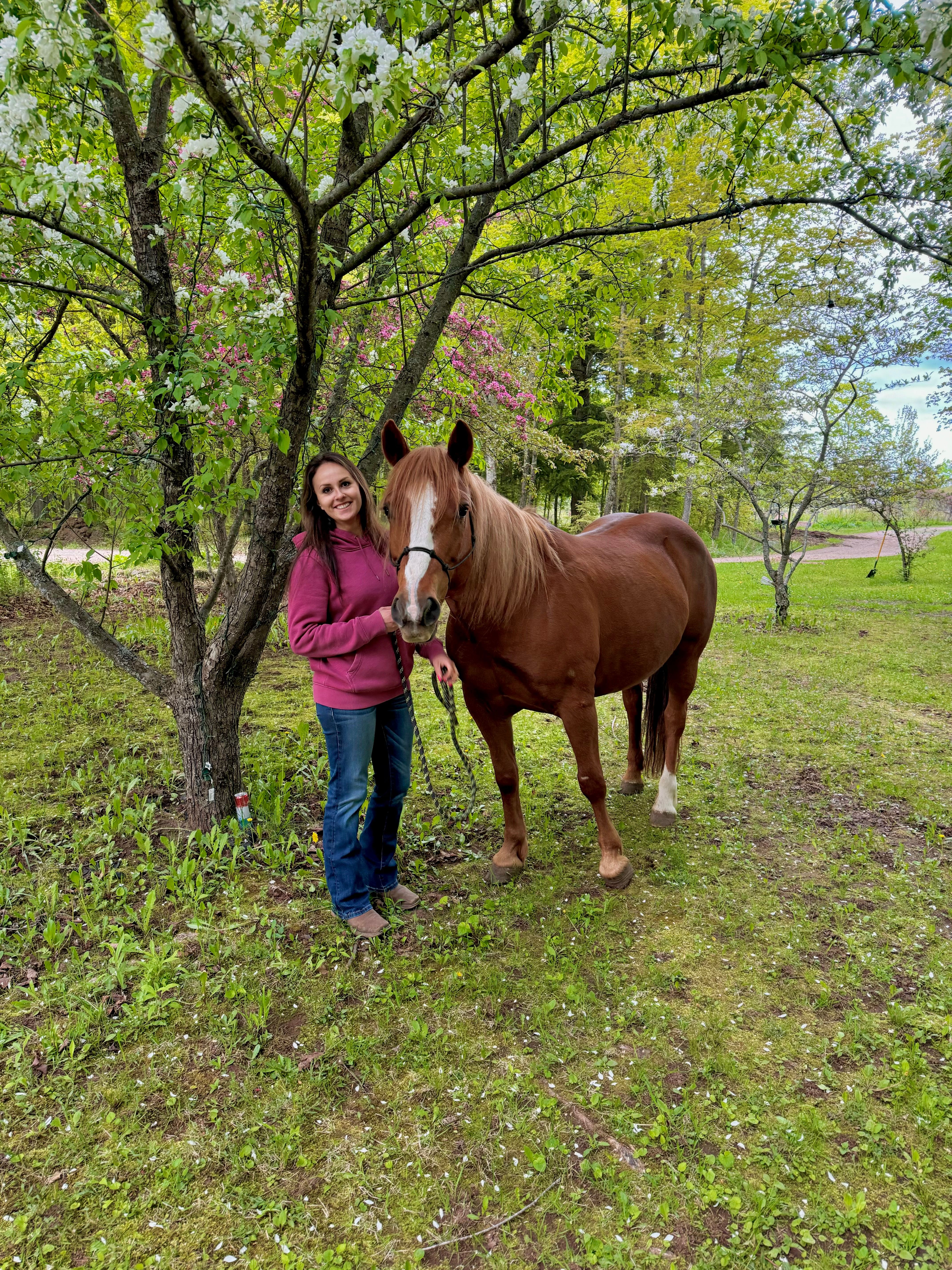 Mango Land Horse Haven