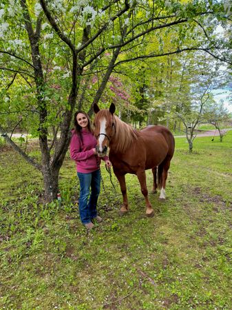 Mango Land Horse Haven