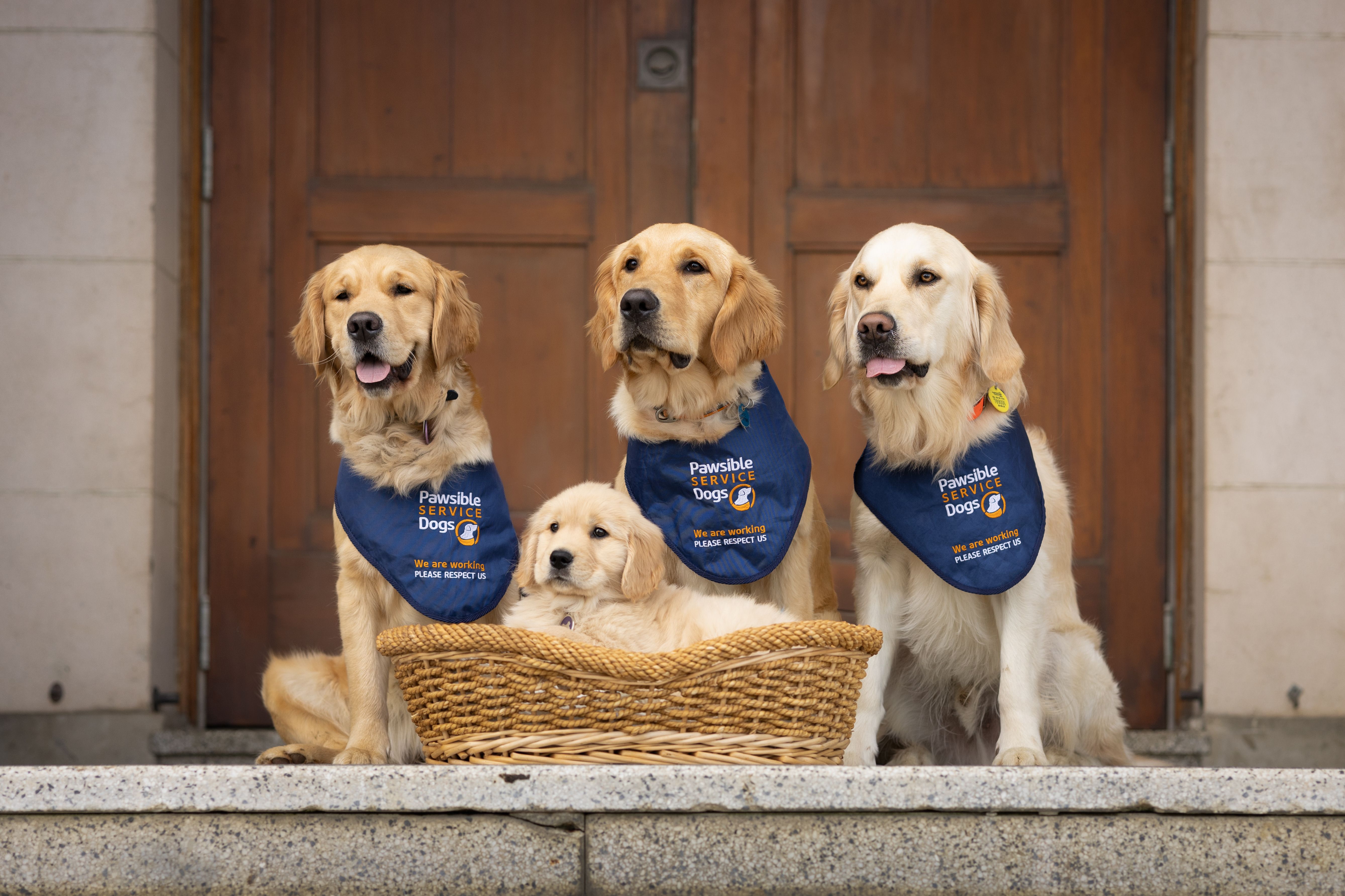 Pawsible Service Dogs