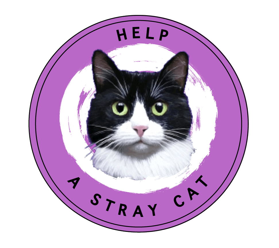 Help a Stray Cat