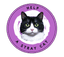 Help a Stray Cat