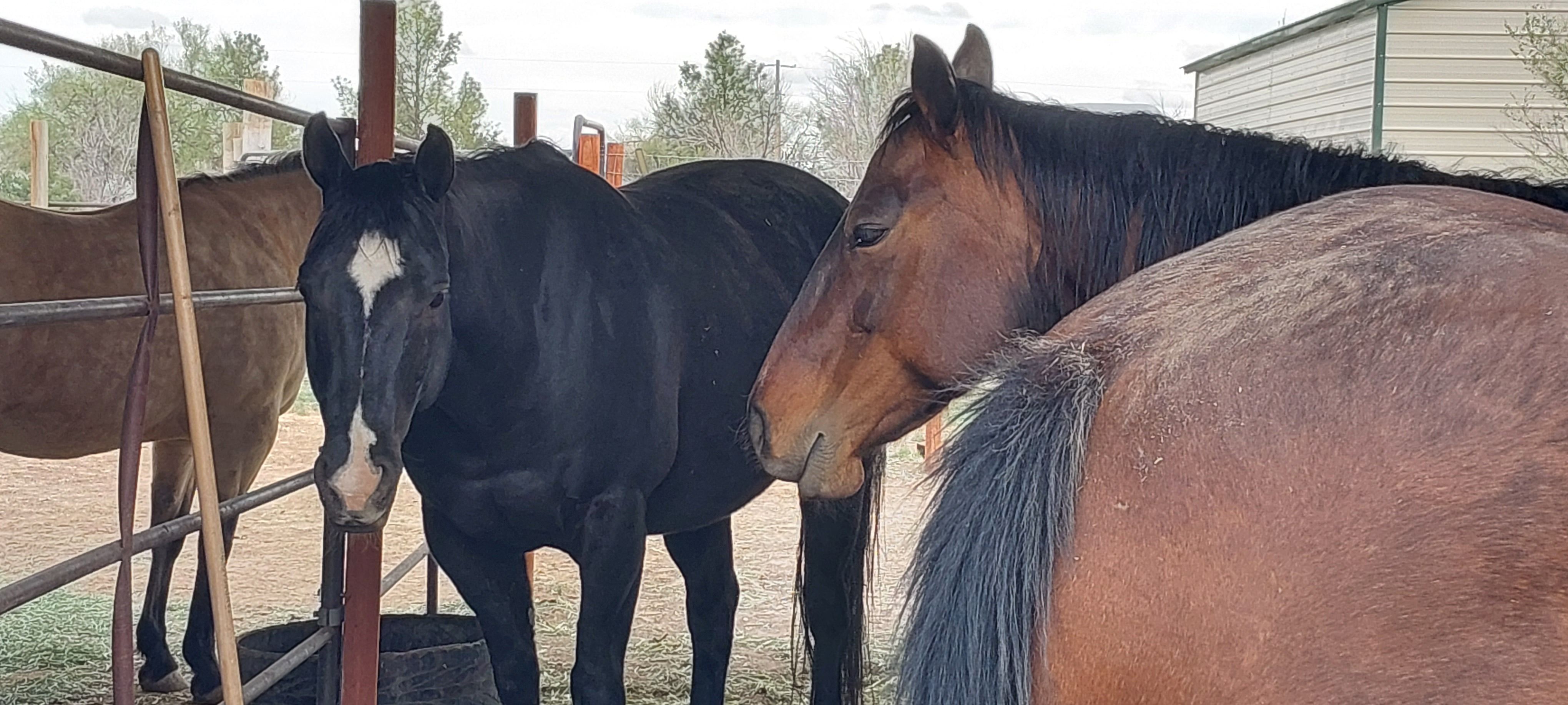 Compassion Circle Barn