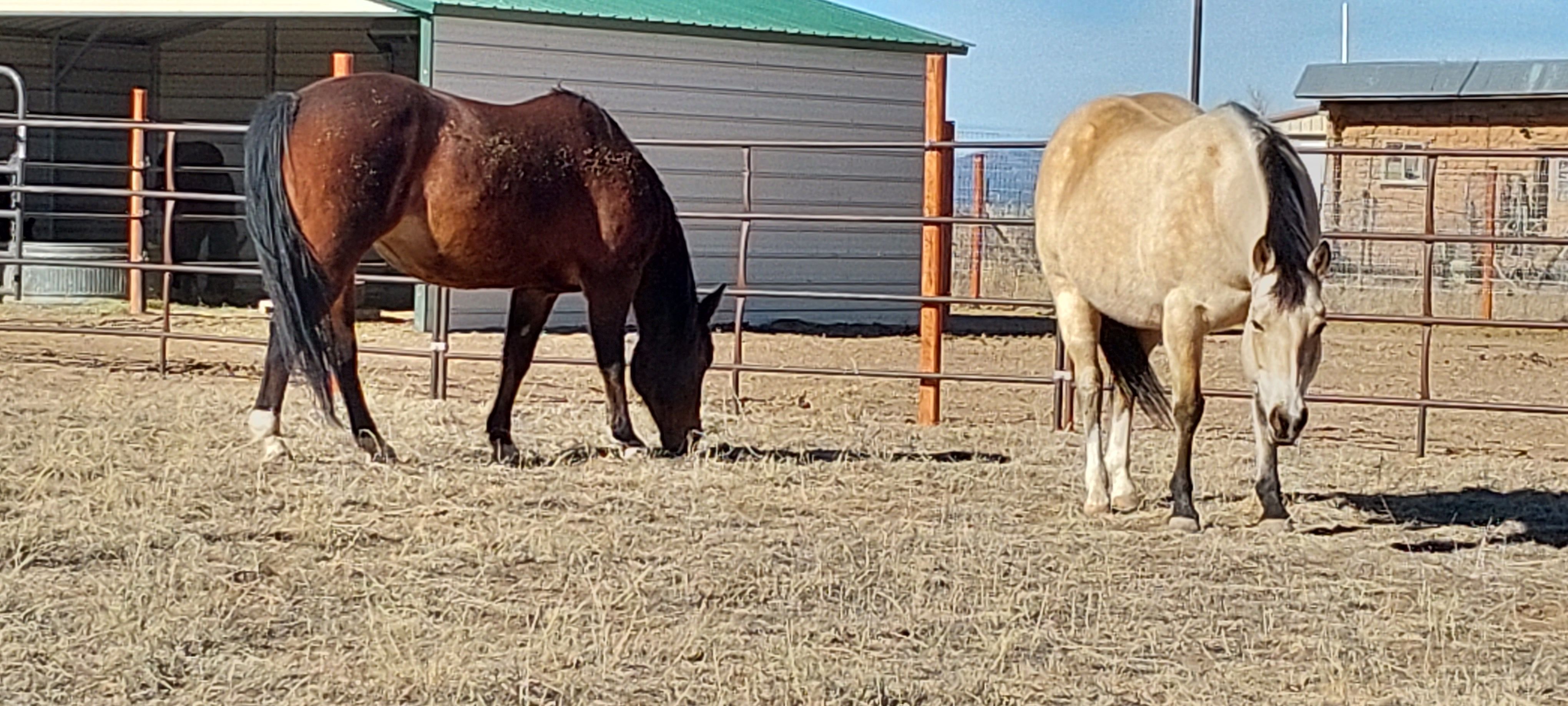 Compassion Circle Barn