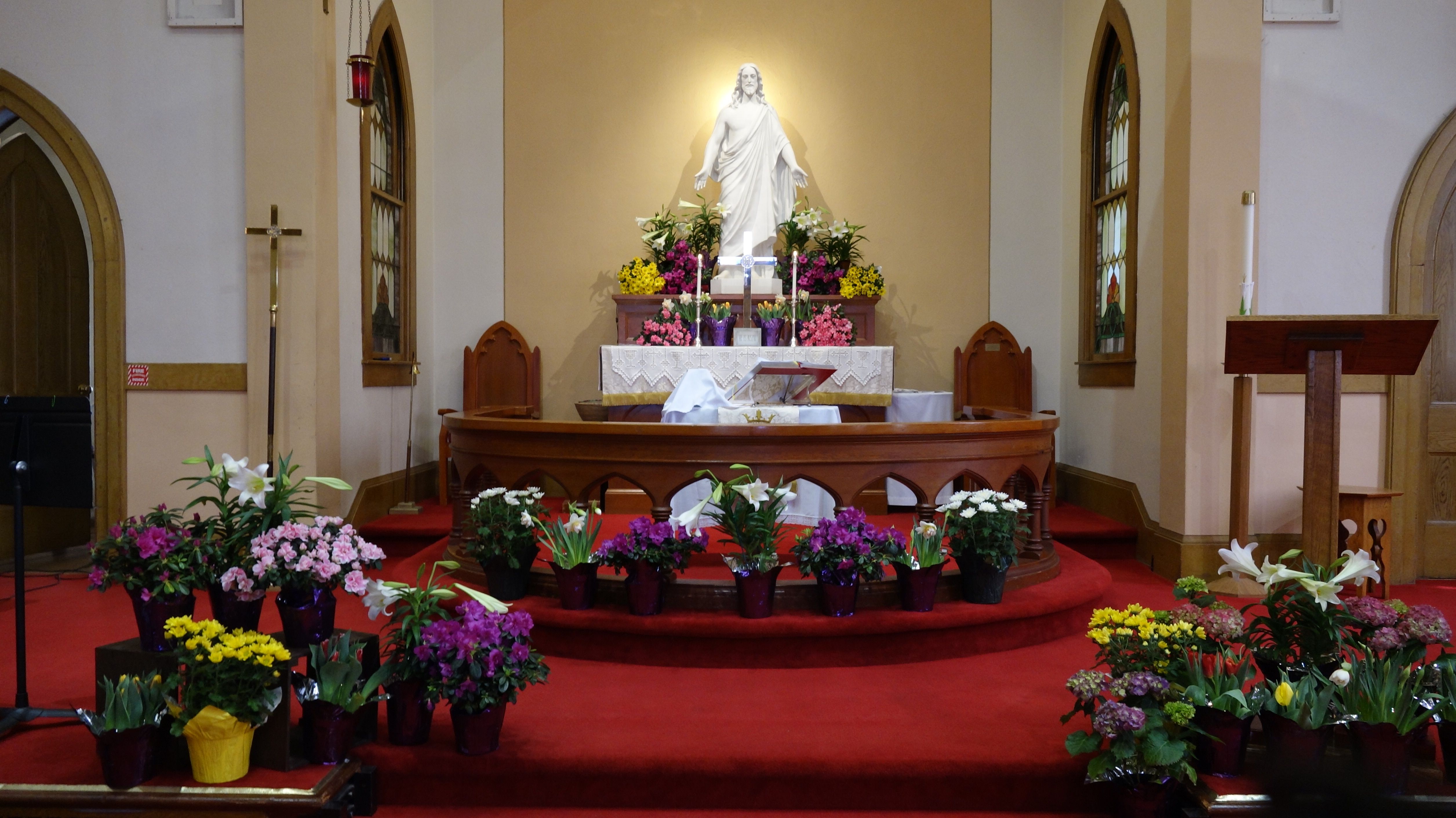 Elim Lutheran Church of Petaluma, CA