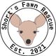Short's Fawn Rescue