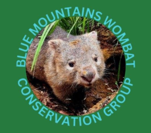Blue Mountains Wombat Conservation Group