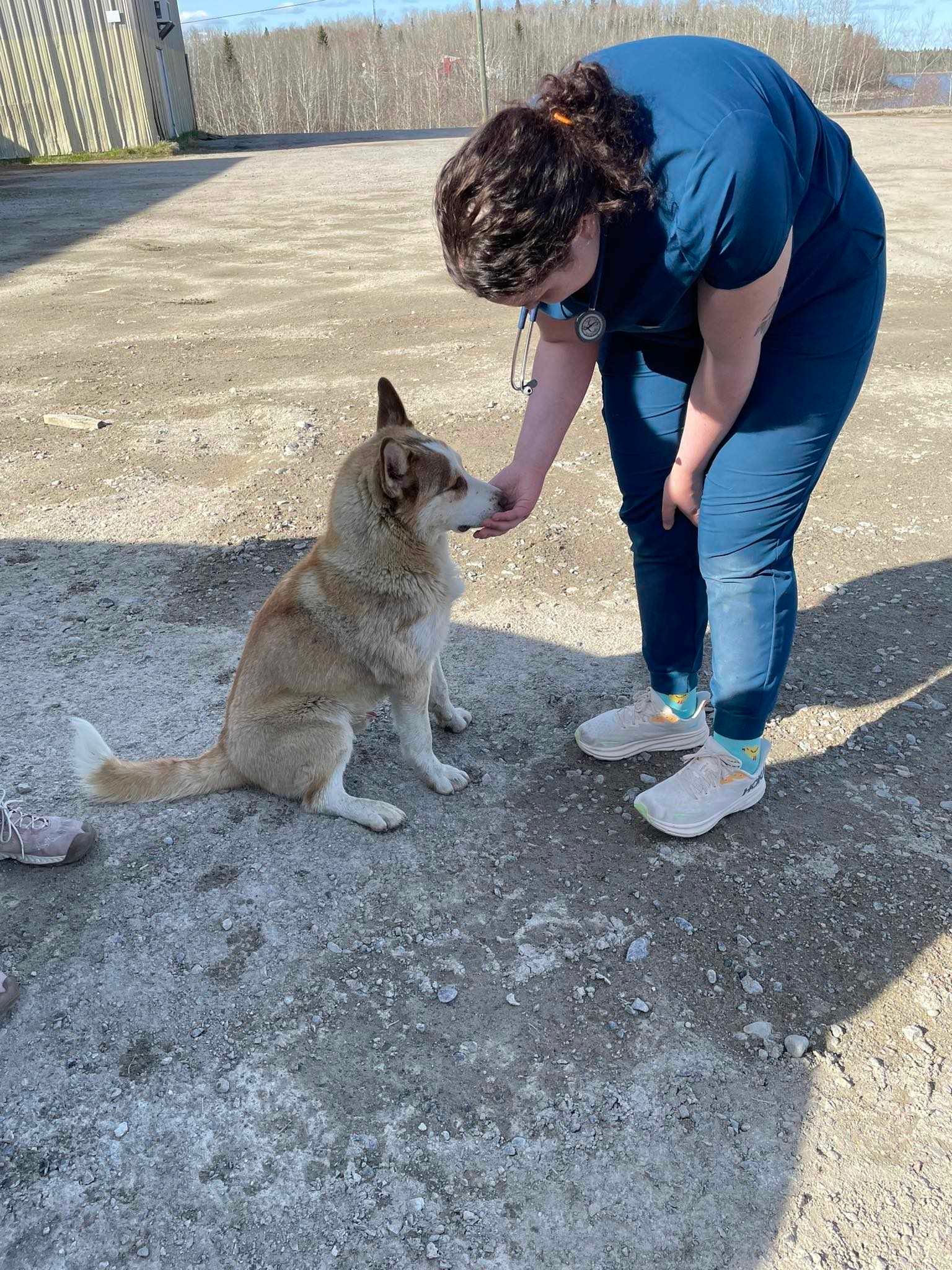 The Winnipeg Humane Society for the Prevention of Cruelty to Animals