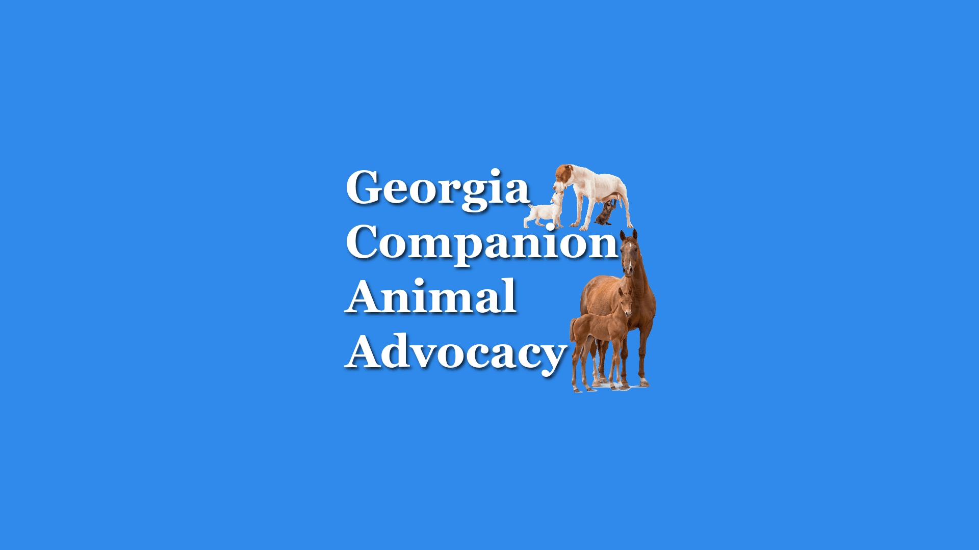 Georgia Companion Animal Advocacy Inc.