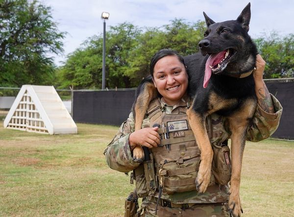 Military Working Dog Team Support Association, Inc.