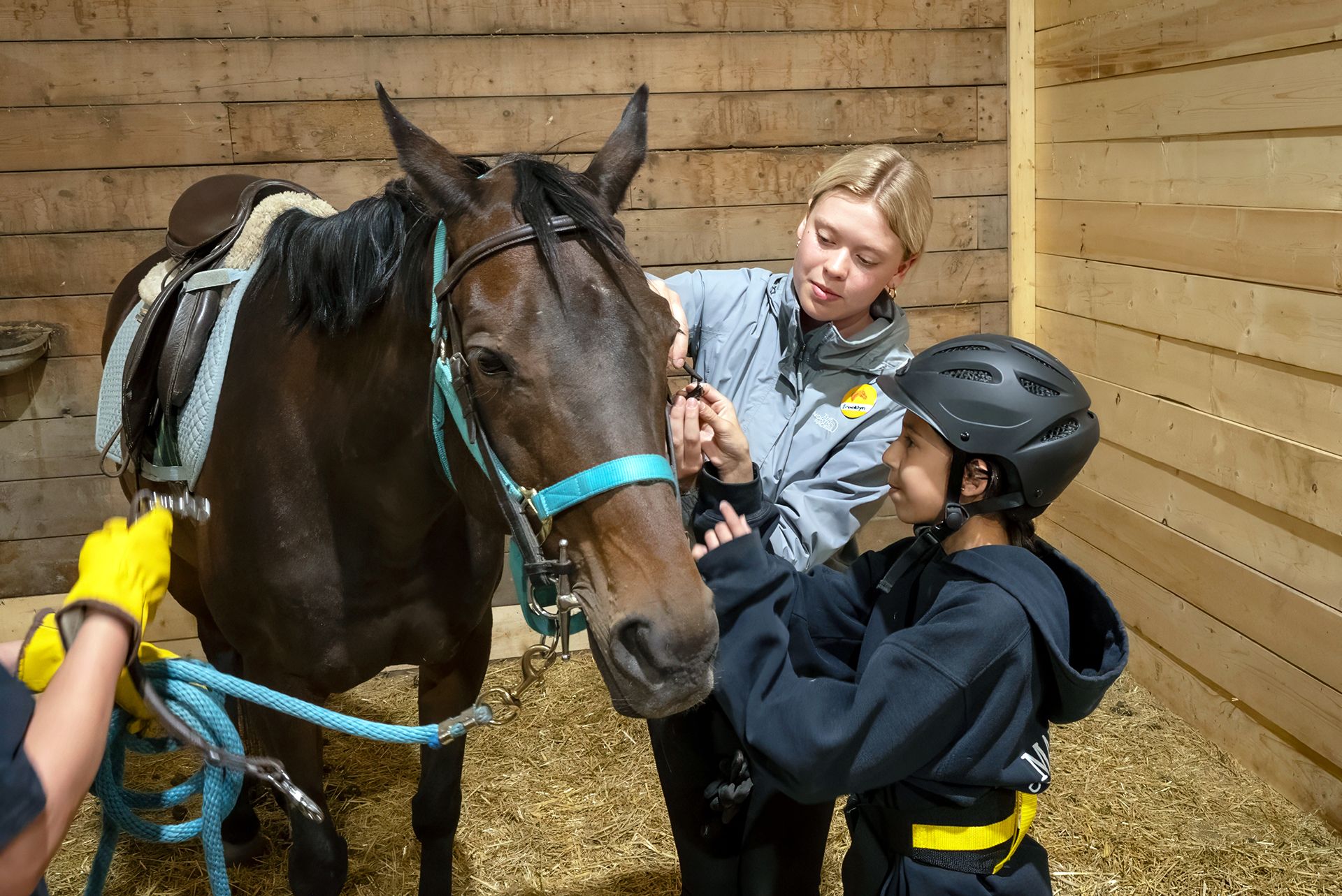 Prairie Strides Inc.
