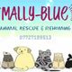 Mally-Blue Rescue and Rehoming CIC