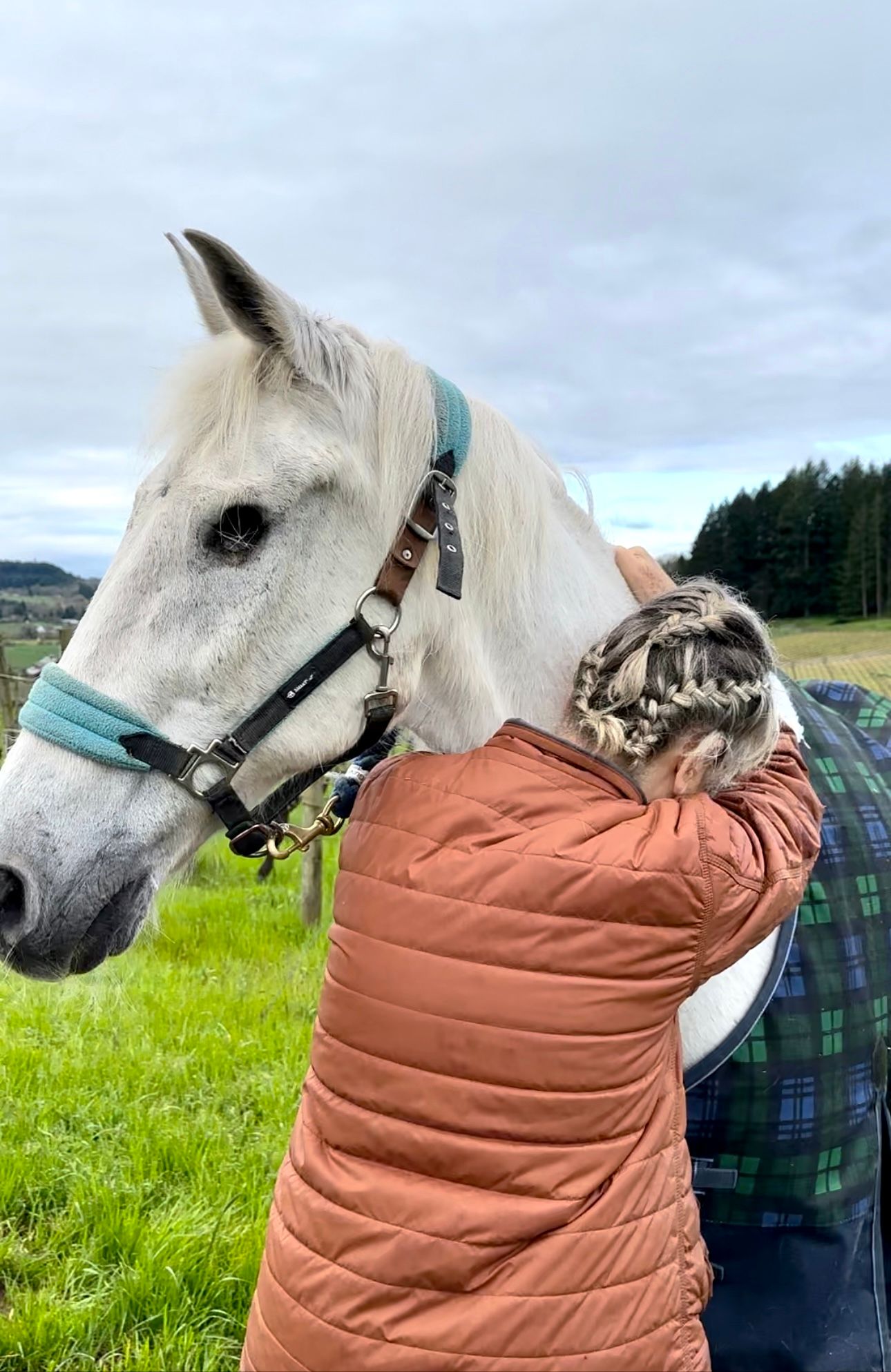 Helping Hands Horse Rescue and Equine Therapy Inc.