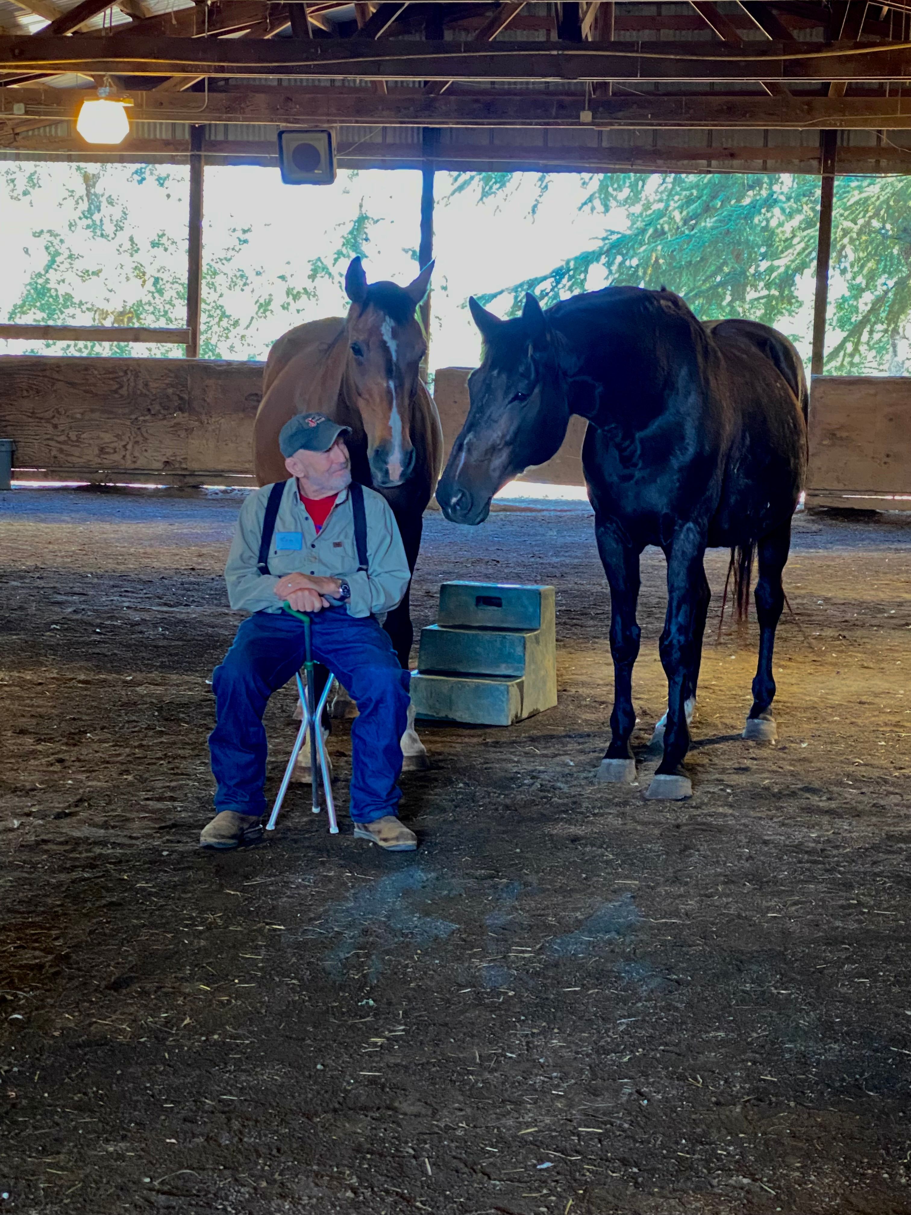 Helping Hands Horse Rescue and Equine Therapy Inc.