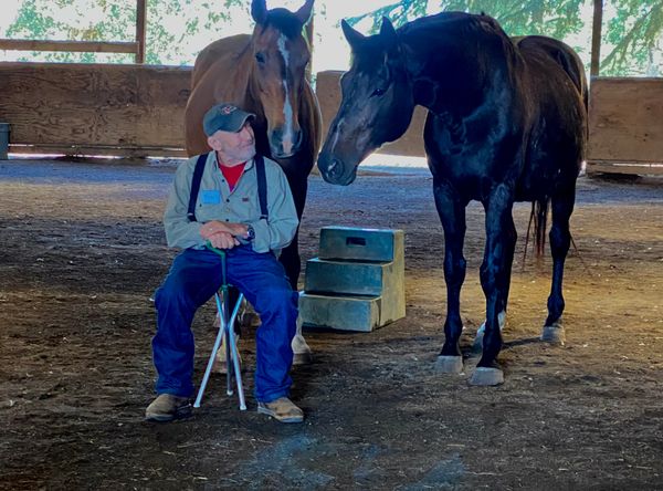 Helping Hands Horse Rescue and Equine Therapy Inc.