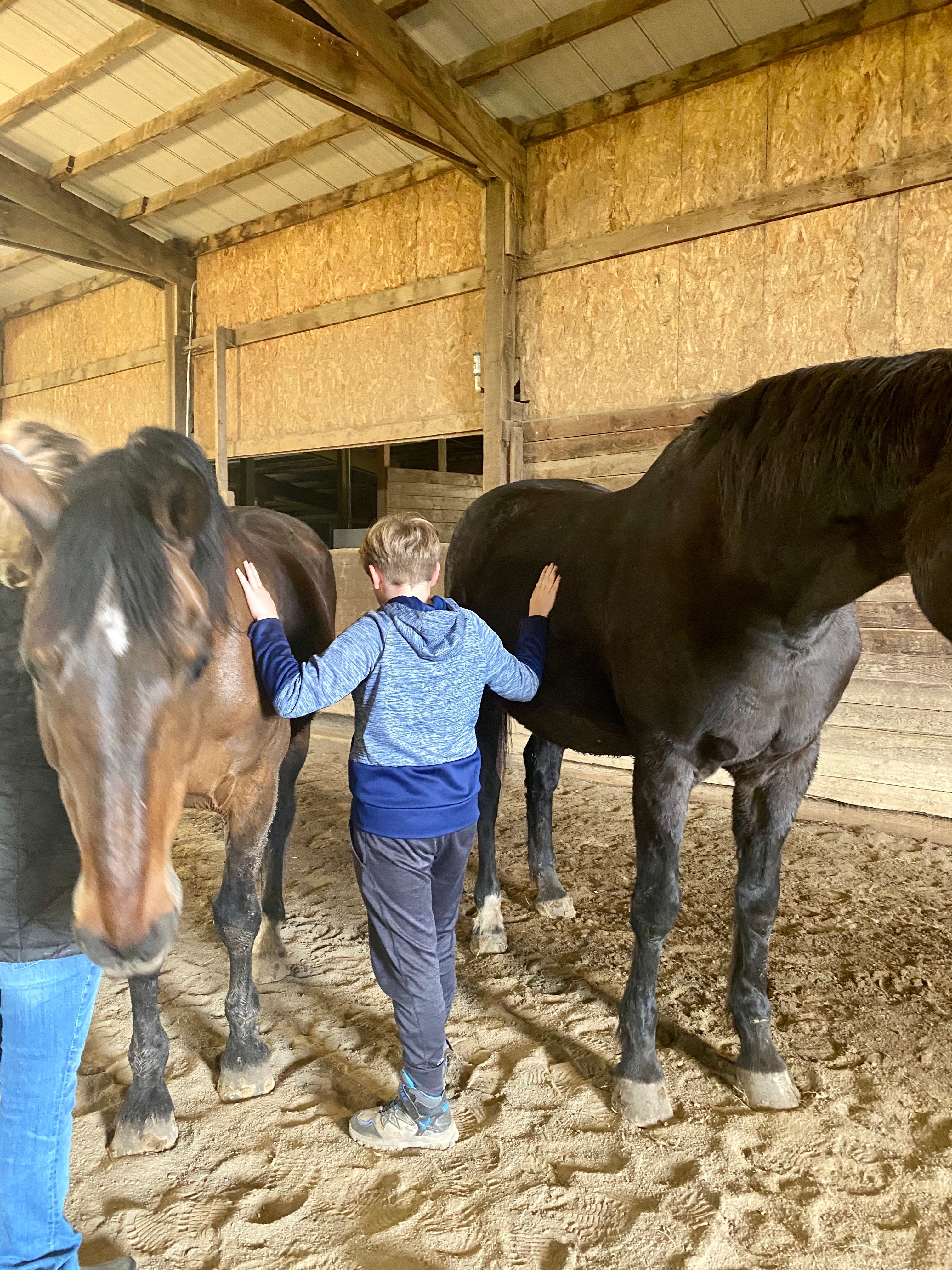 Helping Hands Horse Rescue and Equine Therapy Inc.