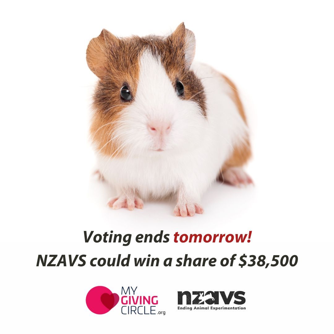 Save the MGC Website AB