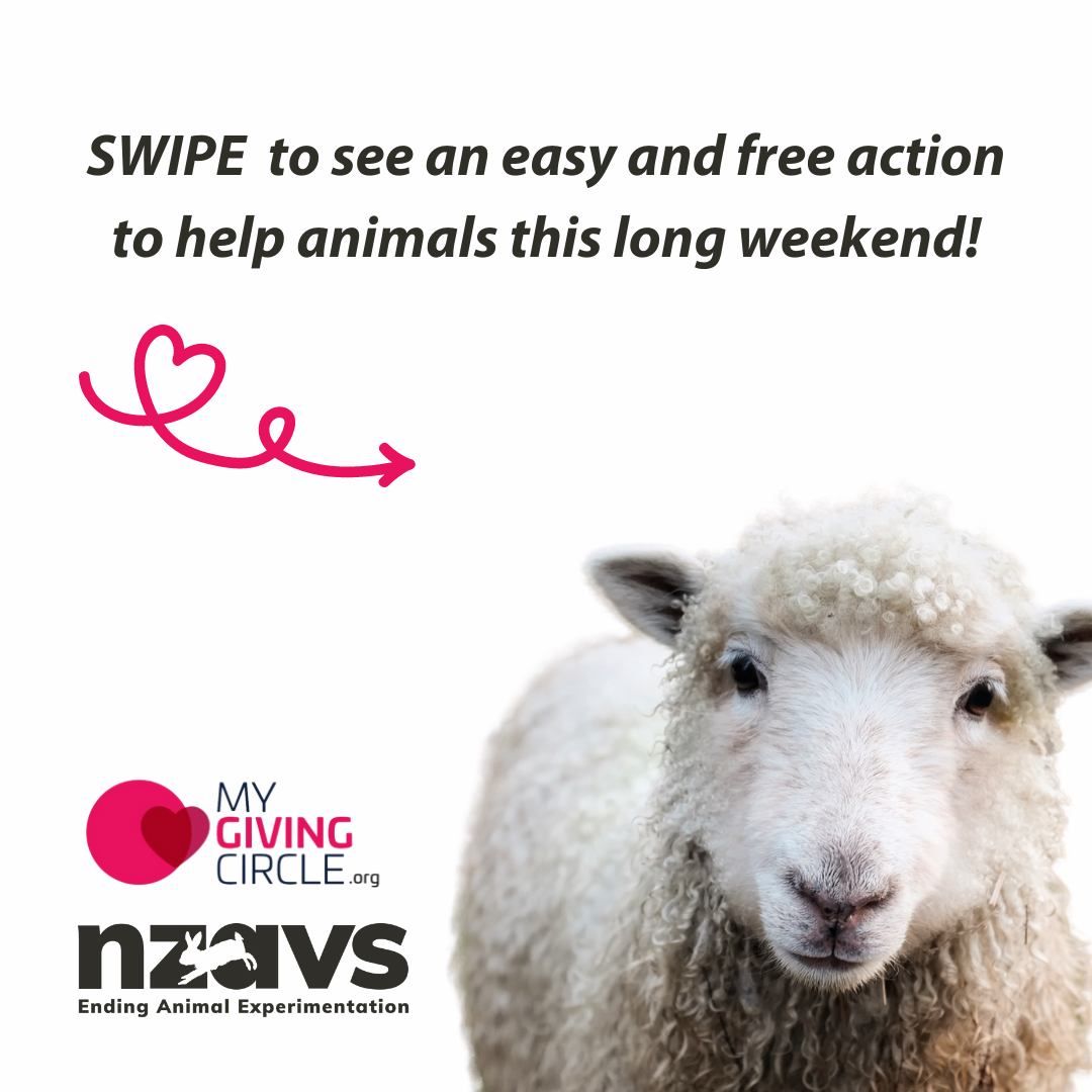 Save the MGC Website AB