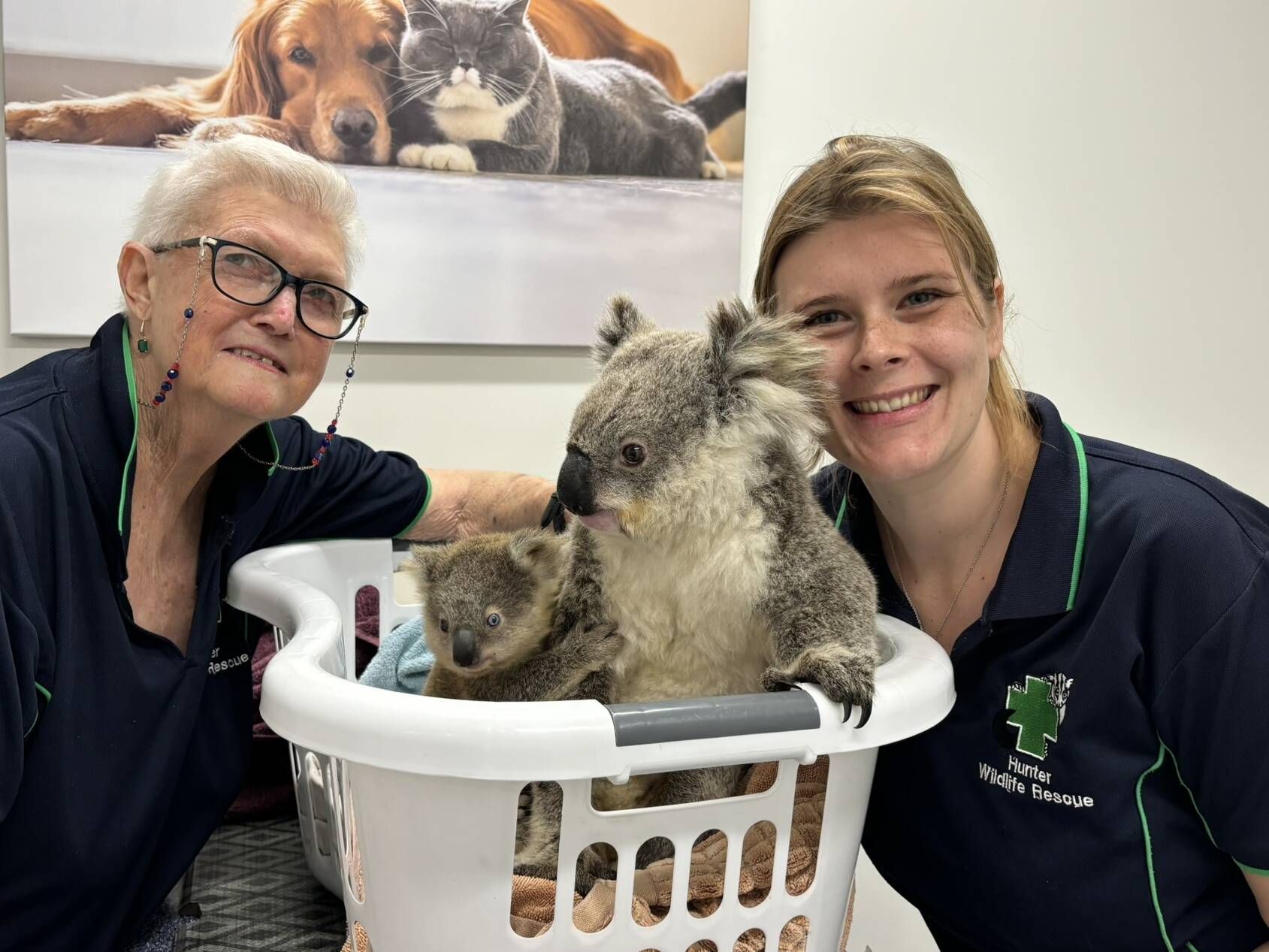 Hunter Wildlife Rescue