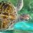 Coffs Coast Wildlife Sanctuary