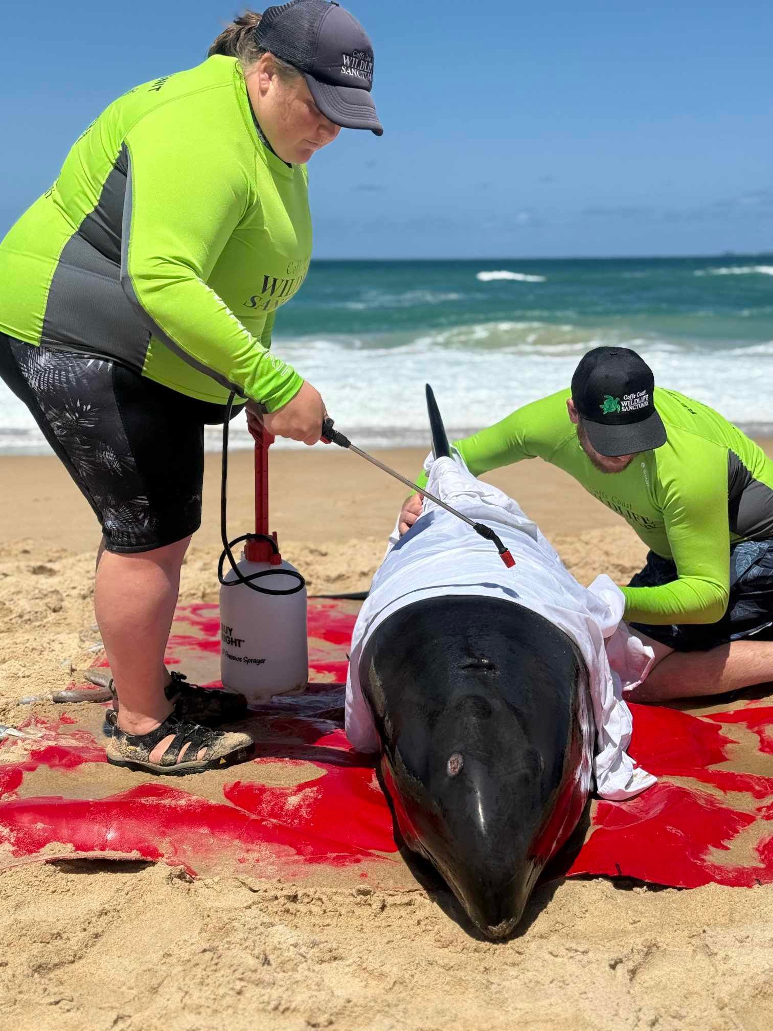 Coffs Coast Wildlife Sanctuary