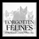Forgotten Felines of Richland County