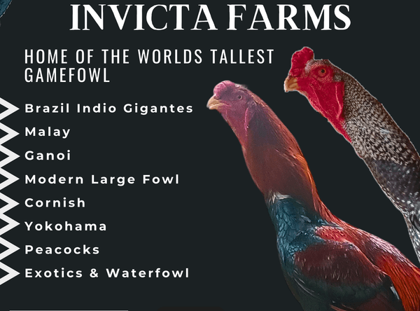 Invicta Farms