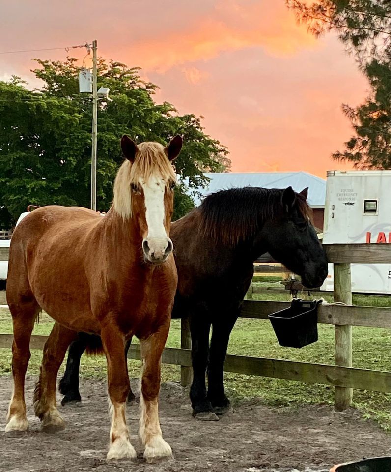 The Liberty Barn Sanctuary