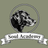 Soul Academy Veterinary Hospice Inc