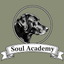 Soul Academy Veterinary Hospice Inc
