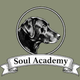 Soul Academy Veterinary Hospice Inc
