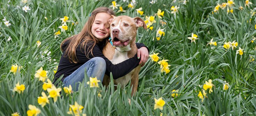 Faithful Friends Animal Society