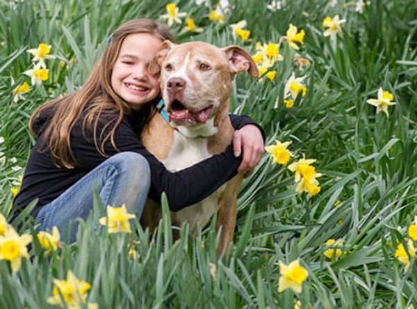 Faithful Friends Animal Society
