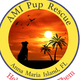 AMI Pup Rescue