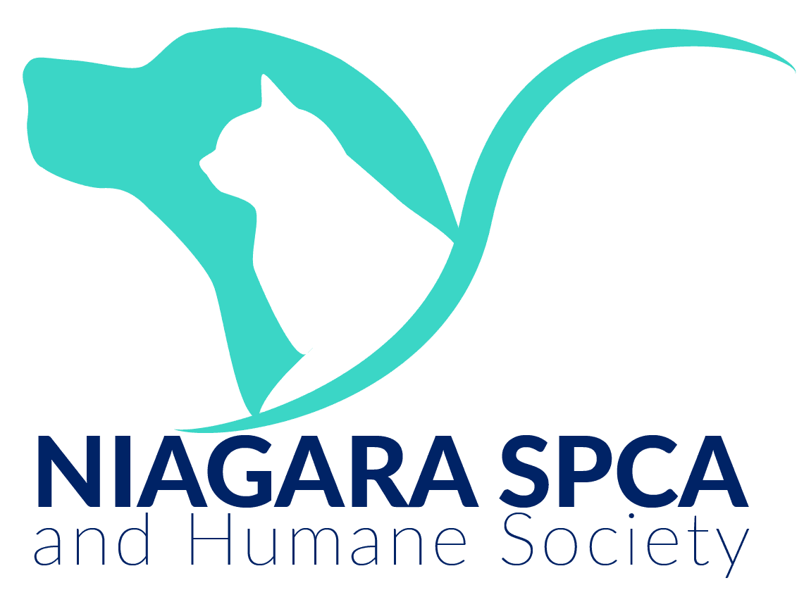 Niagara spca and humane society