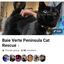 Baie Verte peninsula cat rescue inc.