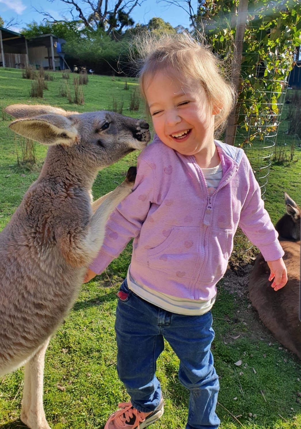 Warrawong Wildlife Sanctuary