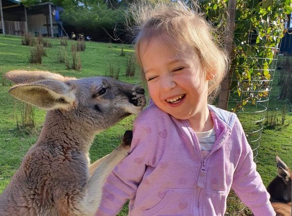 Warrawong Wildlife Sanctuary