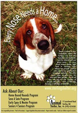 Animal Shelter Inc (Sterling Animal Shelter)