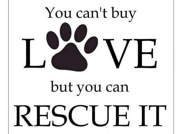 Animal Shelter Inc (Sterling Animal Shelter)