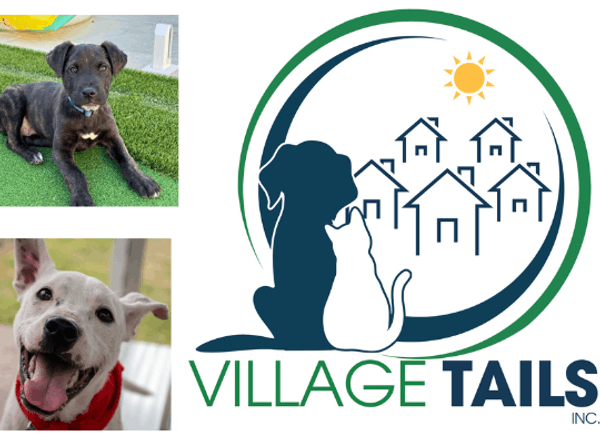 Village Tails Inc
