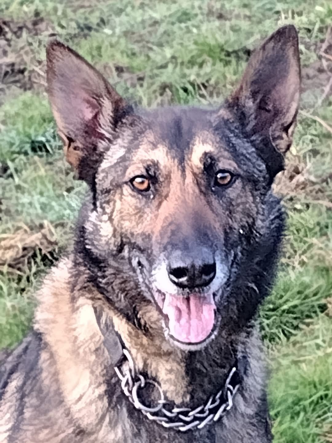 Hullabaloo Sanctuary