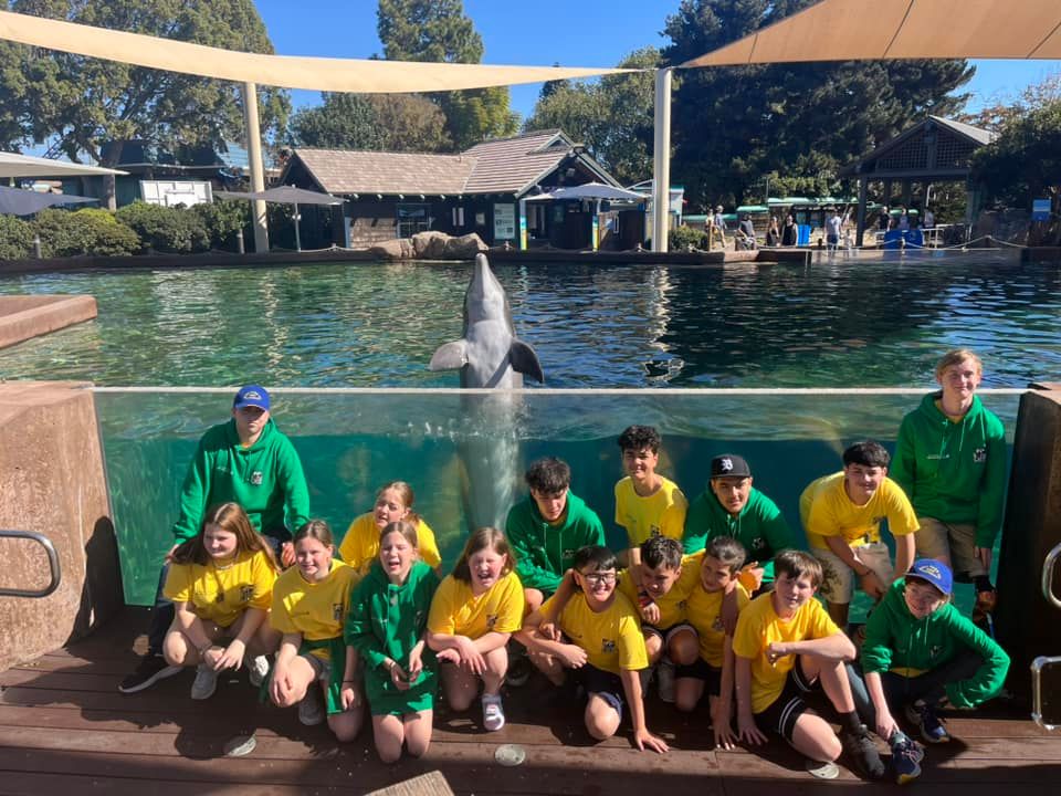 Koru Care Charitable Trust New Zealand