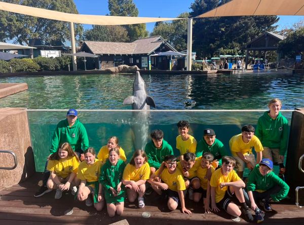 Koru Care Charitable Trust New Zealand