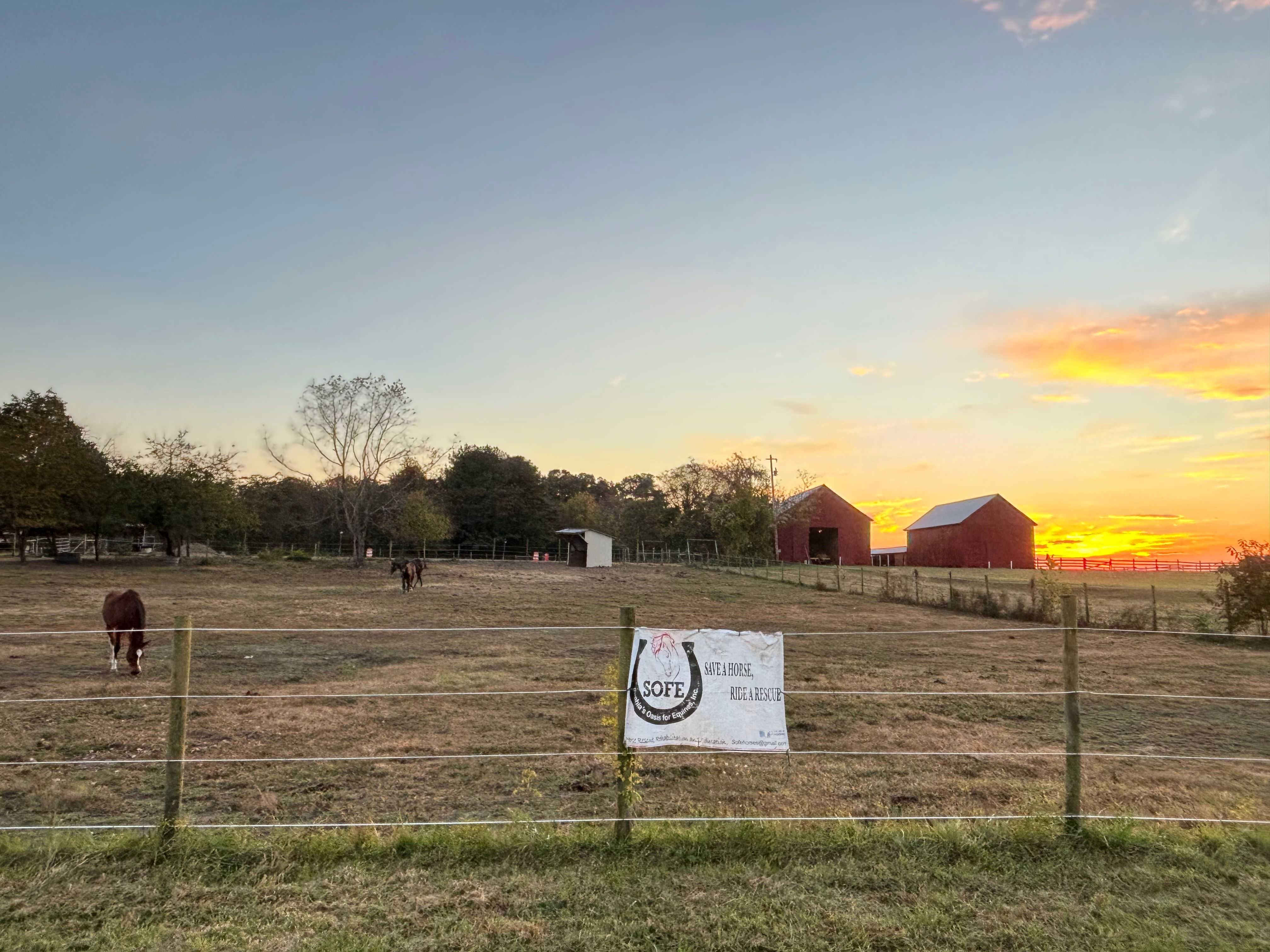 Sophia’s Oasis for Equines (SOFE)