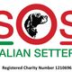 SOS Italian Setters