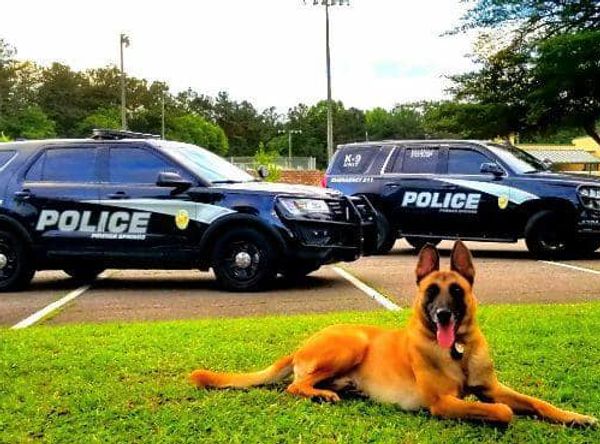 K9 Rescue to Resource