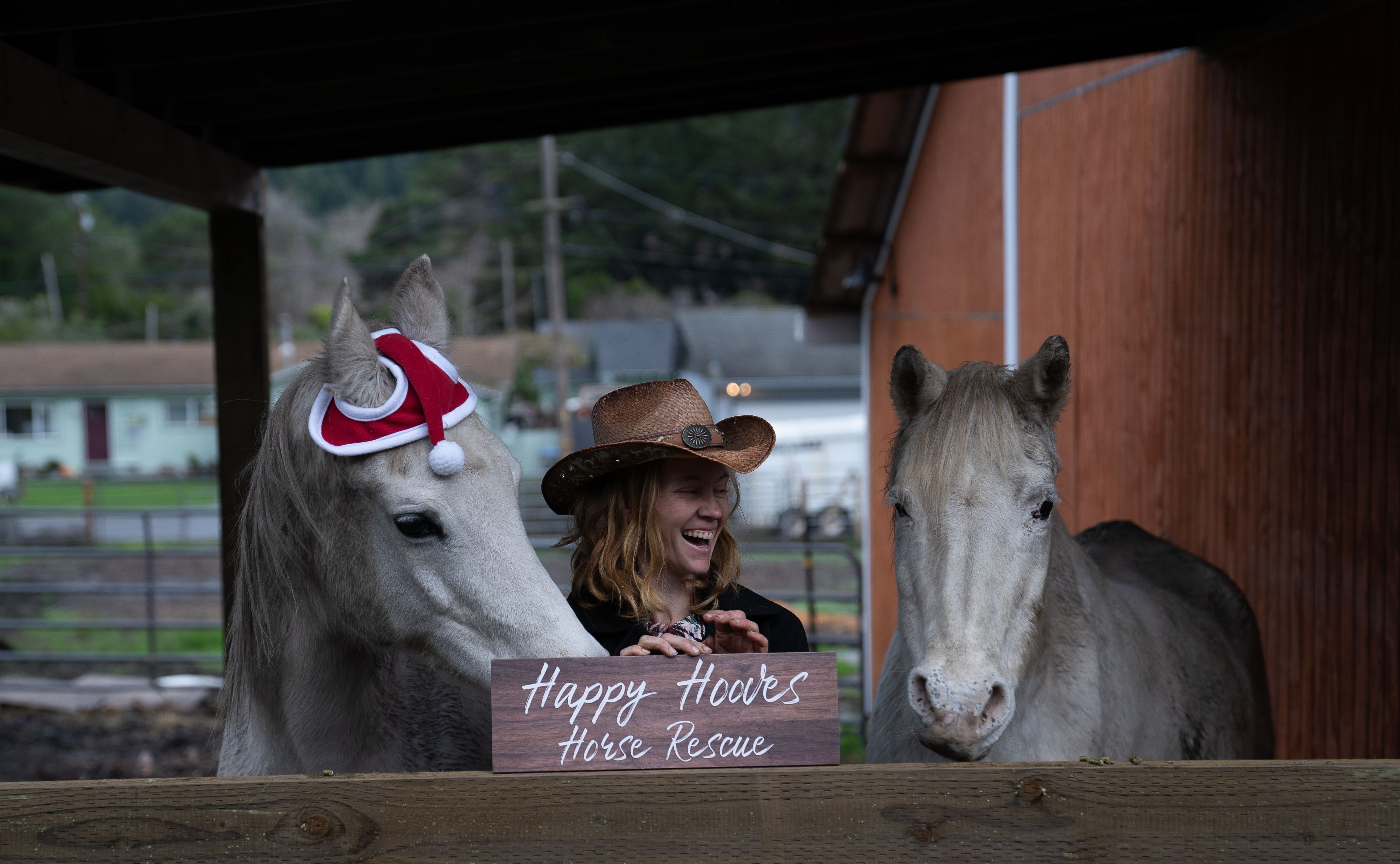 Happy Hooves Horse Rehab