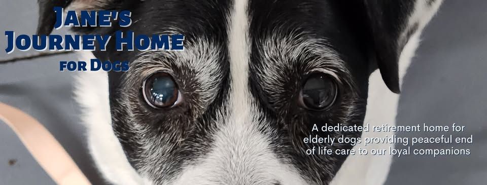 Jane’s Journey Home for Dogs, Baraboo, WI